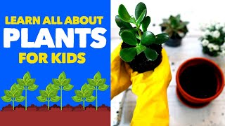 Facts about PLANTS For Kids  Learn all About Botany Houseplants Flowers and Trees [upl. by Ahseiuqal363]