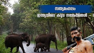 Sathyamangalam Tiger Reserve  Tiger Reserves in India 6 [upl. by Combe956]