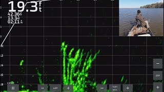 Crappie Fishing with LiveScope Plus FullScreen LiveScope Throughout Lake Darbonne  Trip 4 [upl. by Morette]