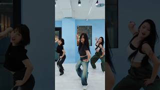 포미닛 4MINUTE 미쳐Crazy DANCE COVER [upl. by Ennoira]