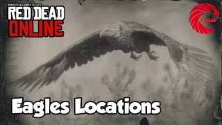 Eagle rdr2 Online Locations  Red Dead Online Eagle Location Guide [upl. by Enrev676]