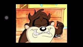 Baby Taz The Tasmanian Devil Crying [upl. by Padraic]