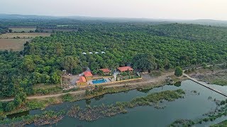 Gir Lion Safari Camp Sasan Gir [upl. by Yeorgi747]