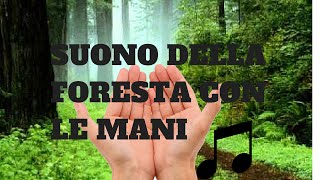 Imparare il suono della foresta con le mani [upl. by Spenser128]