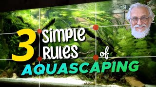 Aquascaping Made Easy 3 Simple Rules for Beautiful Aquariums [upl. by Whorton]