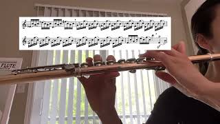 Berbiguier Flute etude no 1 [upl. by Novoj]