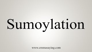 How To Say Sumoylation [upl. by Aticnemrac]