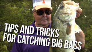 Bills Tips and Tricks for Catching Big Bass [upl. by Aelaza]