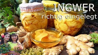 Ingwer eingelegt GARI selbstgemacht gesund und lecker [upl. by Wallack423]