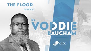 The Flood l Voddie Baucham [upl. by Enirok]