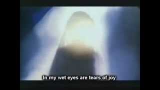 Beautiful Song about Imam Ali AS in Persian Eng Sub [upl. by Nylodam772]