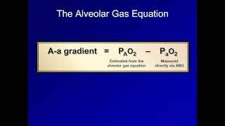 The Aa Gradient ABG Interpretation  Lesson 16 [upl. by Harpp]