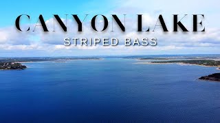 Fly Fishing for Striped Bass in Texas Hill Country  Canyon Lake [upl. by Mayce]