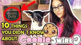 Cookie Swirl C 🍪 10Things You Didnt Know About The SHOPKINS Queen👑 [upl. by Sumner]