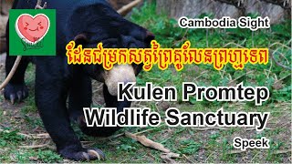 Kulen Promtep Wildlife Sanctuary  ដែនជម្រកសត្វព្រៃគូលែនព្រហ្មទេព [upl. by Ciredec]