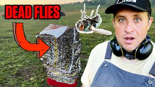 How to Get Rid of Whiteflies 4 Easy Steps [upl. by Olav]