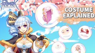 Costume Explained iRO Ragnarok Online [upl. by Doralynn]