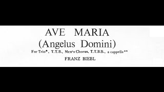 Biebl  Ave Maria Angelus Domini for Mens Chorus with score [upl. by Martres]