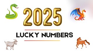 2025 Lucky Numbers for Dragon Snake Horse and Goat [upl. by Enelia508]