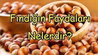 Fındığın Faydaları Nelerdir [upl. by Phelgon]