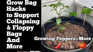 4 Tips for Grow Bag Garden Grocery Sacks or Fabric Pots Success Easy amp Cheap Container Gardening [upl. by Nirrej]