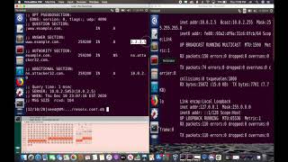 DNS Cache Poisoning Attack Demo [upl. by Aynwat434]