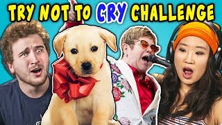 Adults React To Try Not To Cry Challenge [upl. by Ymmat]