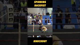 Spinning Backfist Knockout [upl. by Revell721]