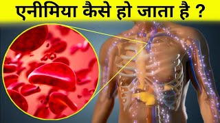 एनीमिया क्या हैं  science of anemia [upl. by Julee]