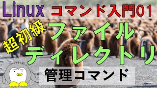 【Linuxコマンドの基本01】 ファイルを管理する Bash上でファイル、ディレクトリを作る、消す、そして、ファイルとはなにか、ディレクトリとは？ 初心者にわかりやすく解説。 [upl. by Nylirac]