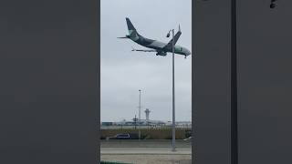 Flair Airlines Boeing 737 Arriving At LAX From Vancouver Canada 🇨🇦 planespotting innout lax [upl. by Girhiny911]