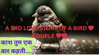 Heart Touching Love Story  Chida or Chidiya ki kahani do chidiya ki kahaniFunlearningzoneHindi [upl. by Yeffej677]