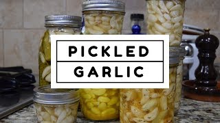 How to Make Homemade Pickled Garlic [upl. by Holland671]