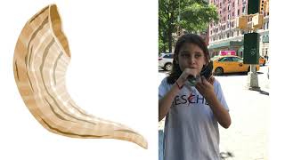 Can You Blow The Shofar [upl. by Mollie]