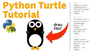 How to Use Python Turtle in Replit  Penguin Coding School Tutorial [upl. by Savvas]