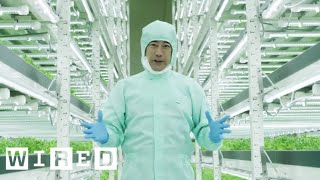 Tokyo’s Vertical Farms  The Future of Farming  WIRED [upl. by Ewold]