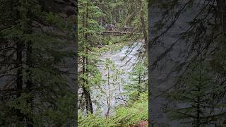 Johnston Canyon  Banff National Park [upl. by Jocelyn488]