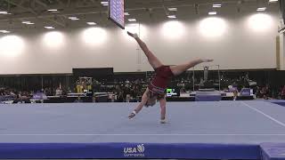 Taylor Burkhart  Floor Exercise  2024 Winter Cup  Men Day 2 [upl. by Nospmas]