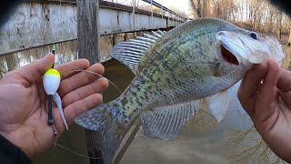 Creek CRAPPIE Fishing From The BANK🎣JIG AND BOBBER CREEK CRAPPIE 2024‼️ [upl. by Calandra]