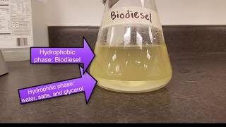 66 Transesterification reaction demonstration [upl. by Hajidak426]