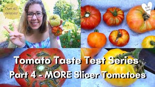 Tomato Taste Test Series Over 40 varieties  Part 4 MORE Slicer Tomatoes [upl. by Suirradal]