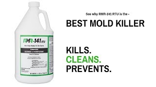 Best Mold Killer amp Disinfectant  RMR141 RTU [upl. by Catlee]