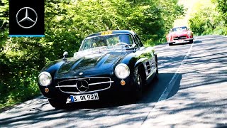 1000 Miles in the MercedesBenz 300 SL Magnus Walker at Mille Miglia [upl. by Attirb]