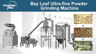 Bay Leaf Ultrafine Powder Grinding Machine  Pulverizer Machine  Mill Powder Technology [upl. by Idyak]