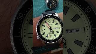 CITIZEN GN4S 8201 R013271 [upl. by Chace718]