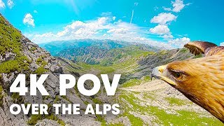 Breathtaking Eagle POV Flying Over The Alps in 4K [upl. by Nylrak]