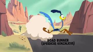 Wile E Coyote And Road Runner In quotClimate Controlquot [upl. by Spielman]