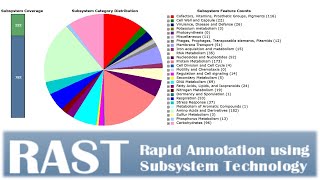 RAST Bacterial genome sequence annotations [upl. by Apollus]