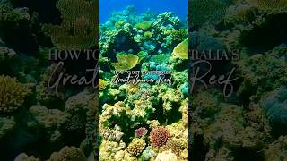 HOW TO GET TO THE GREAT BARRIER REEF 🪸 [upl. by Anotyad]