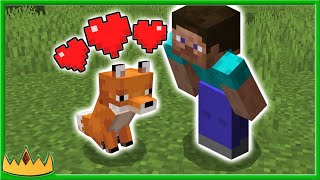 EASIEST way to tame a FOX in Minecraft [upl. by Nannie]